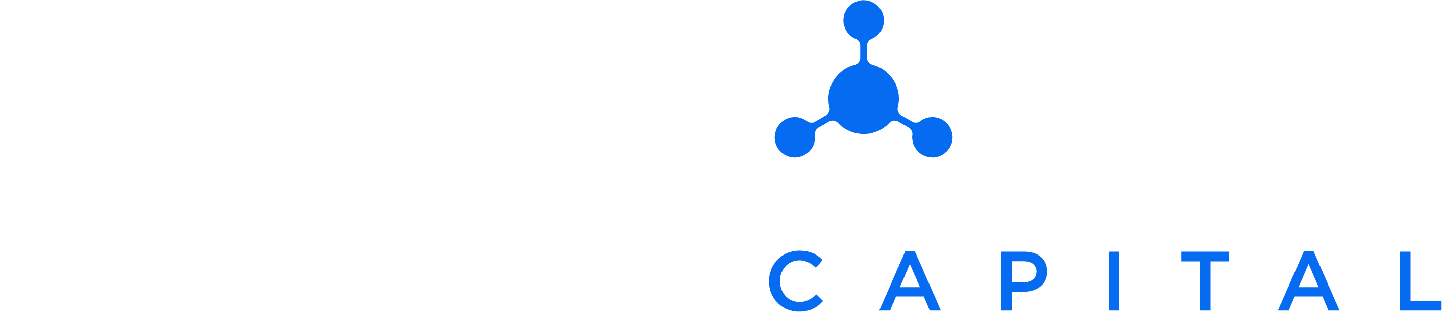 Triatomic Capital